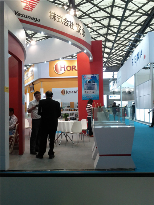 2013 SNEC